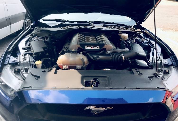 FB4AE8EF-10FE-4AE0-AB43-6634A5C73389.jpeg