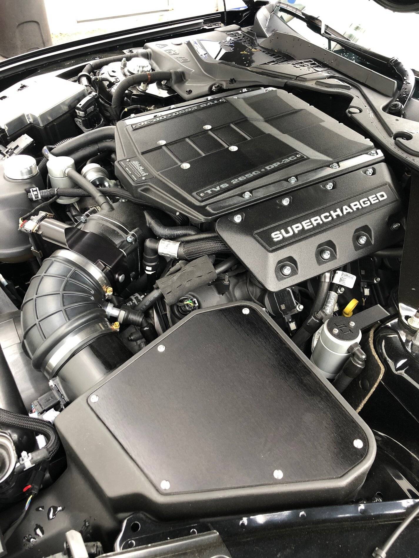 B635B4F8-5C0C-4DAF-9F3D-4B63A4546887.jpeg