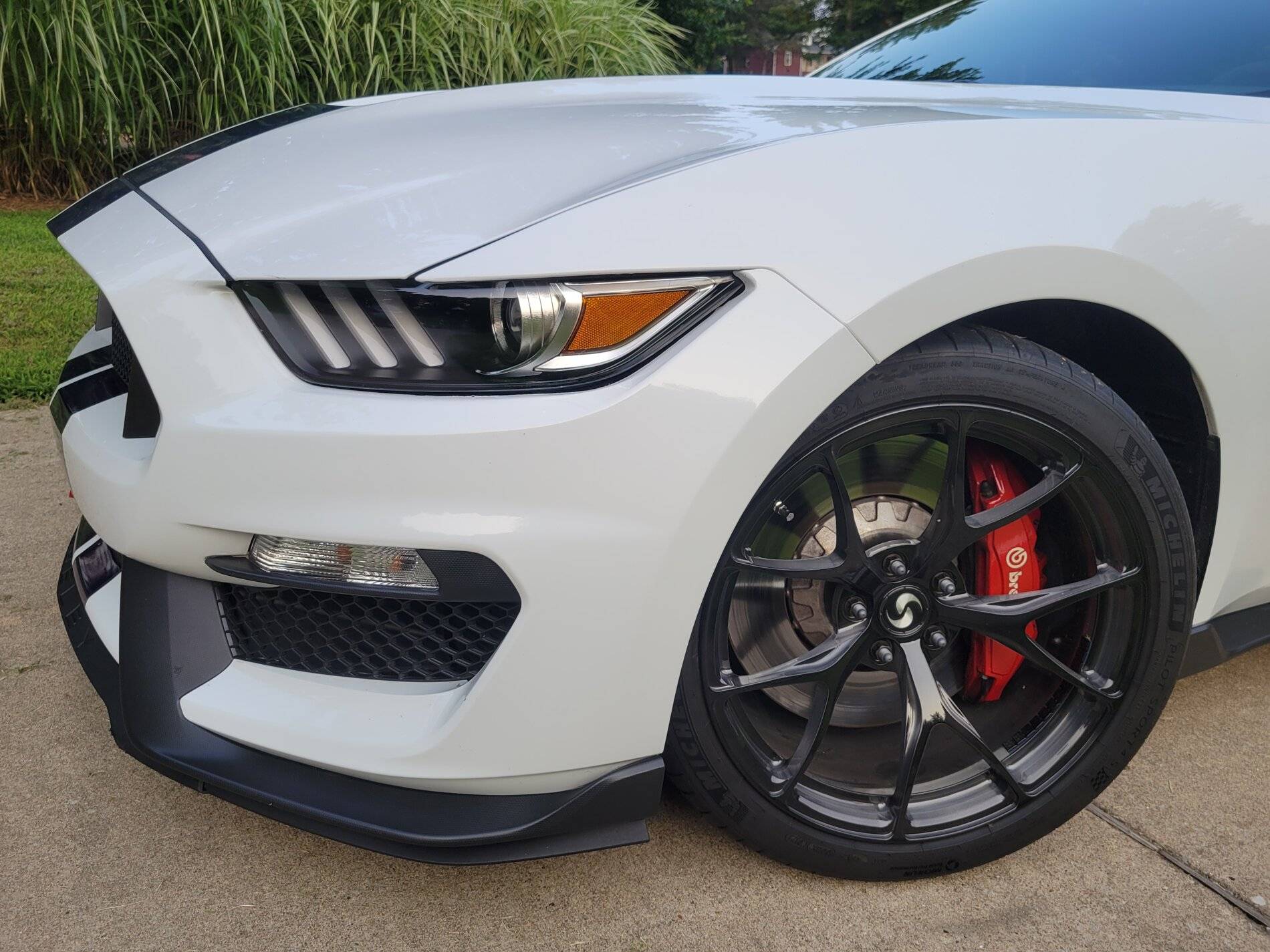 Sig Front Wheel.jpg