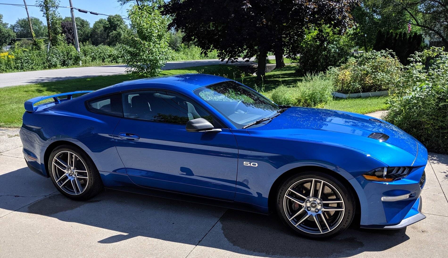 2018 GT mine.jpg