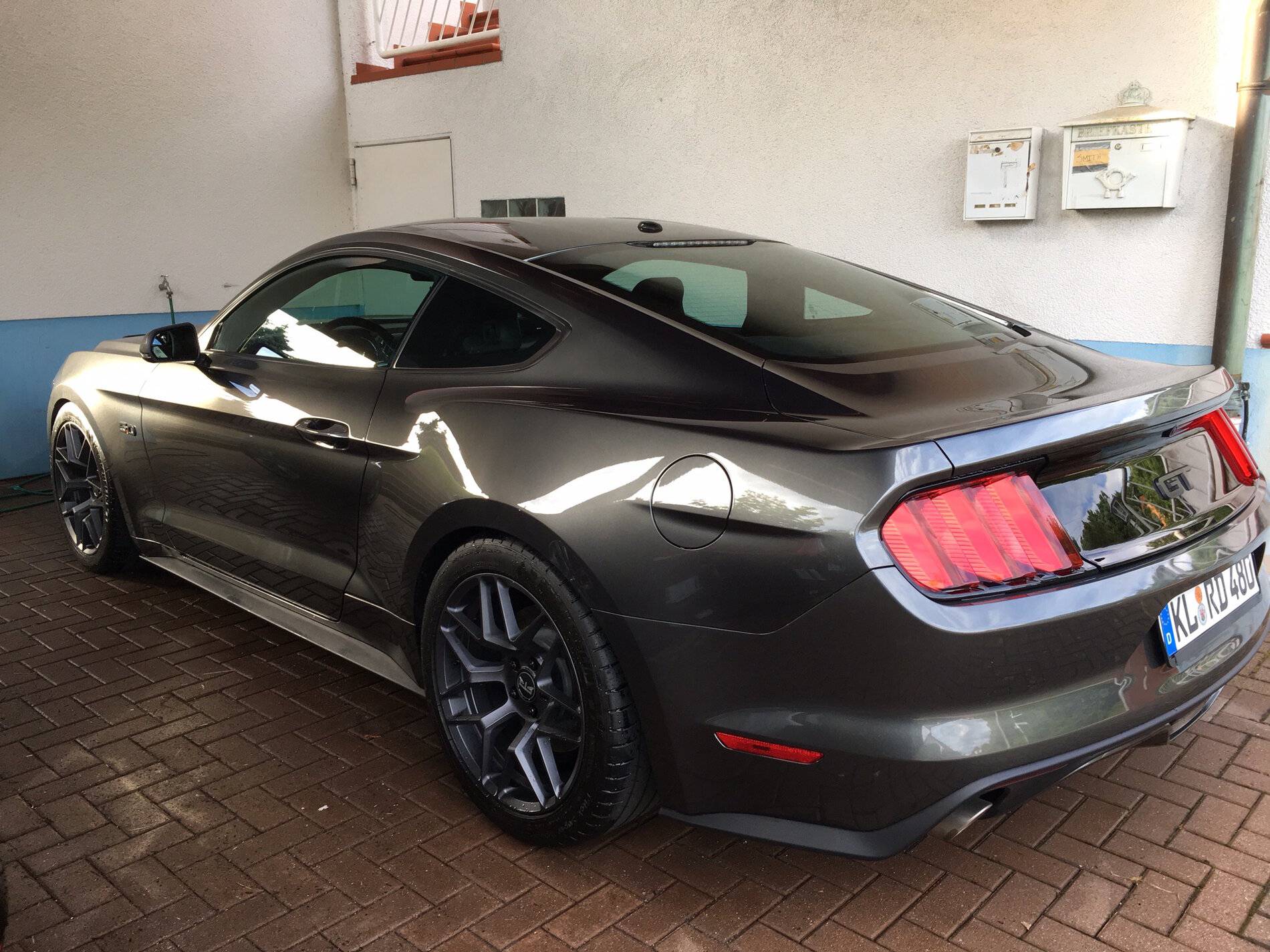 Dr Rear pic.JPG