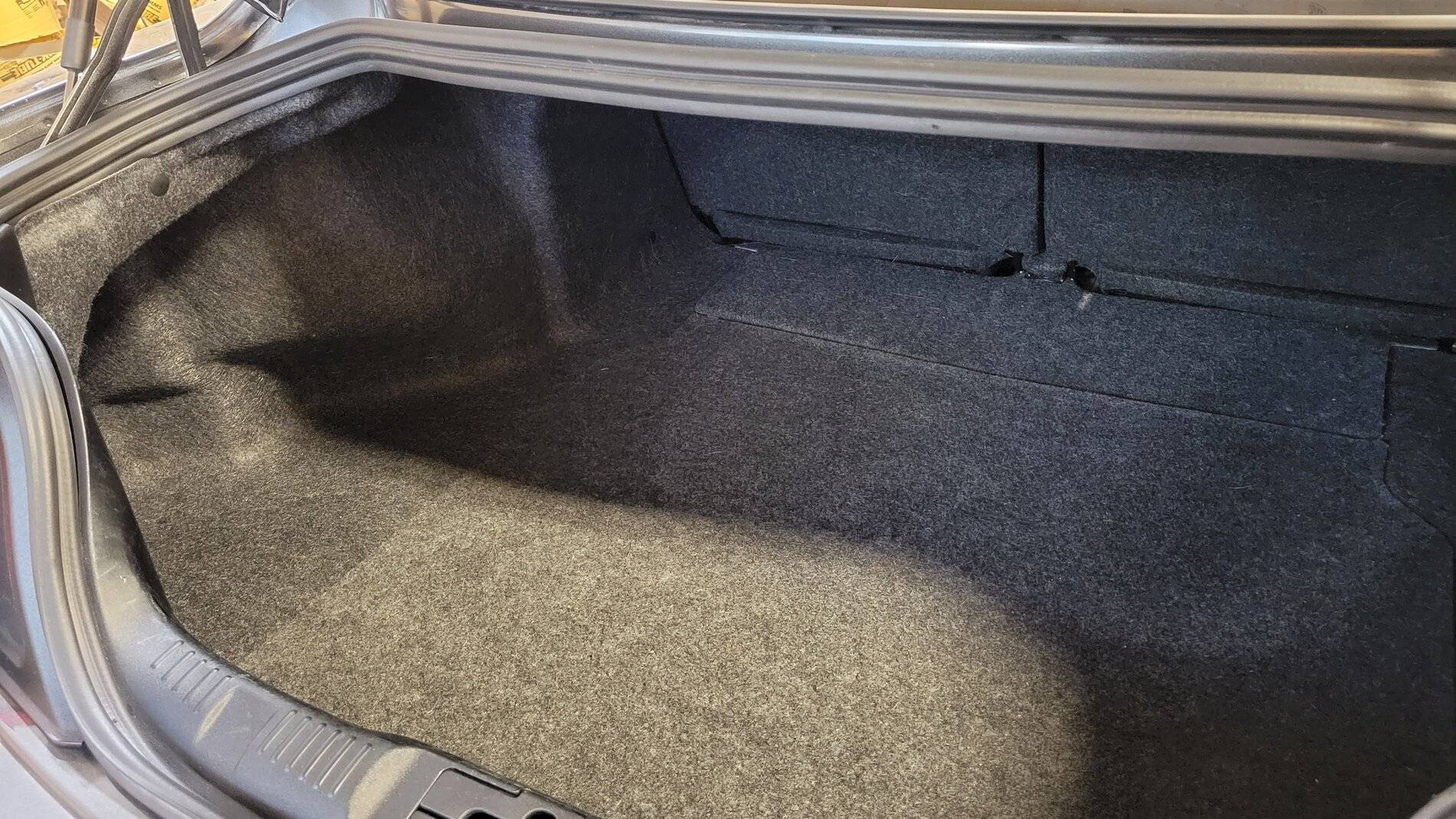Trunk.jpg