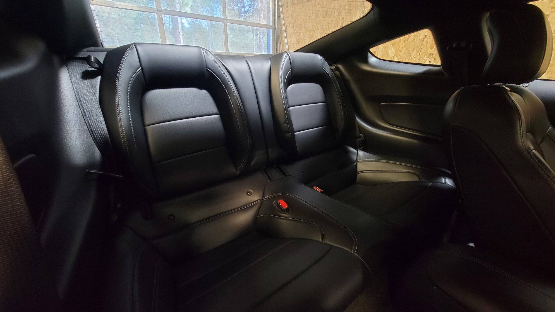 Back Seat.jpg