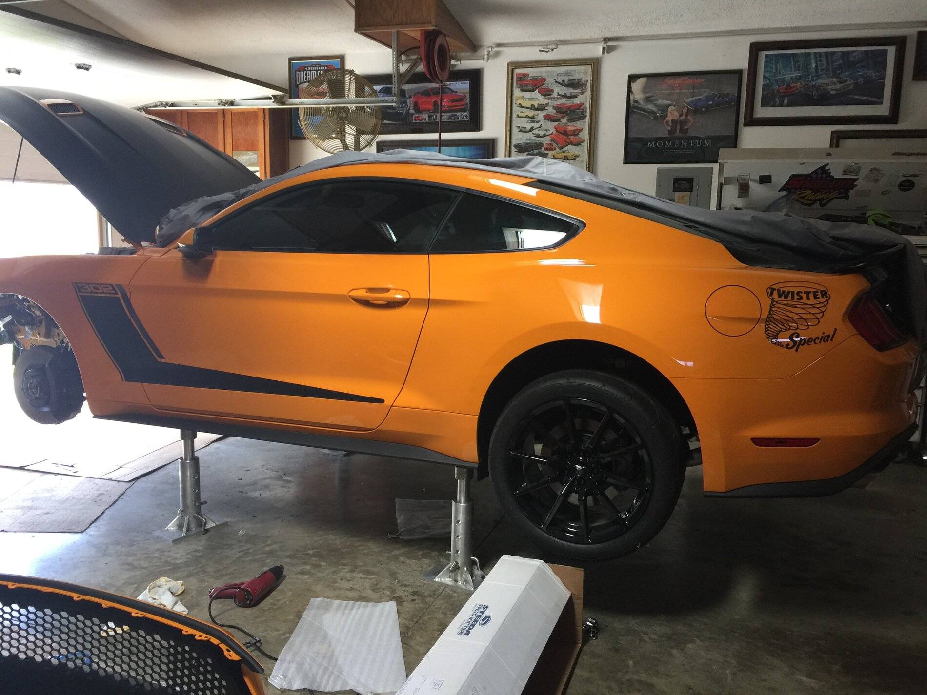 mustang jack 2.JPG