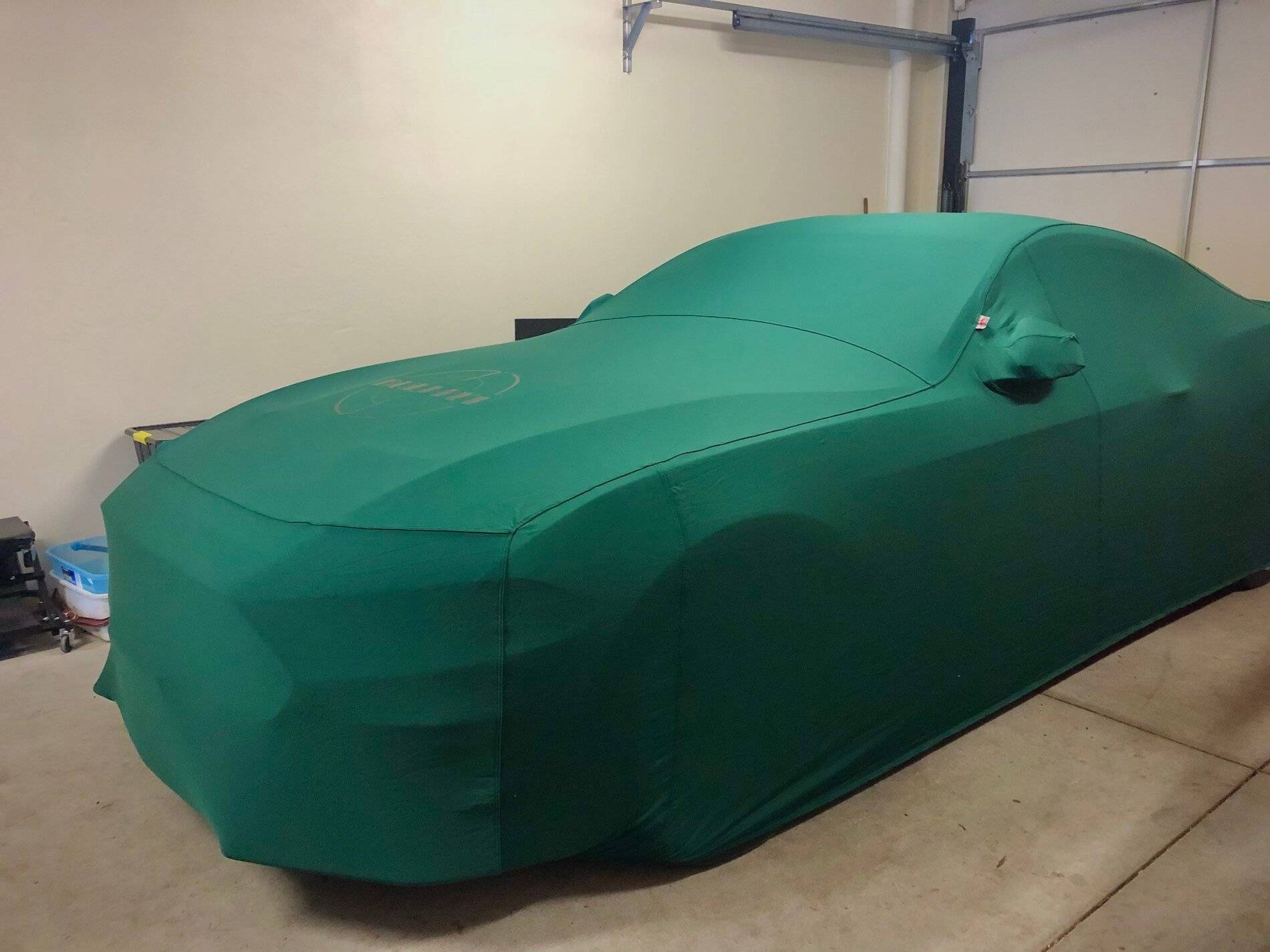 Bullitt Cover.jpg