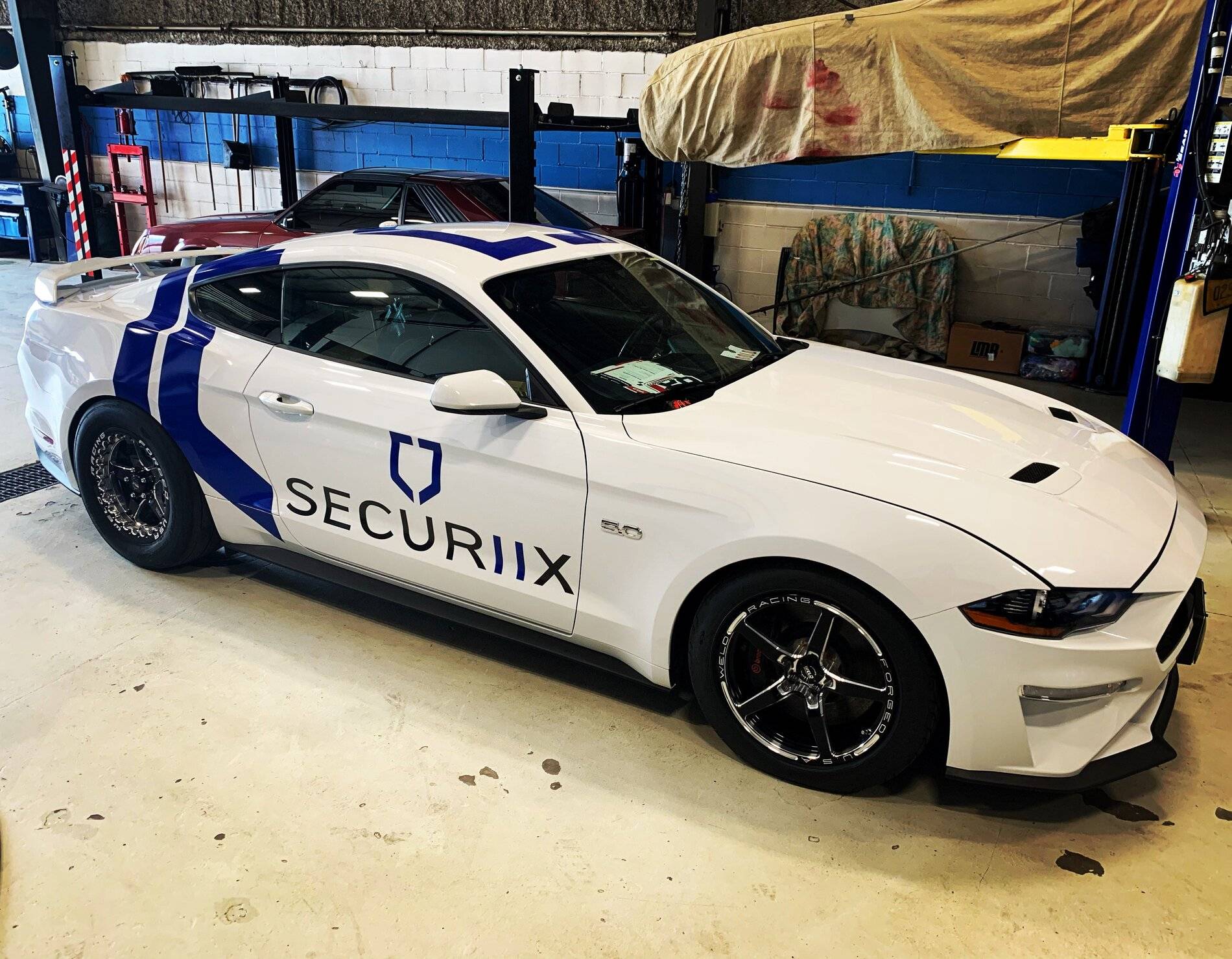 Mustang_Securiix.jpg