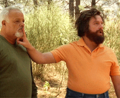 1627663911232.gif