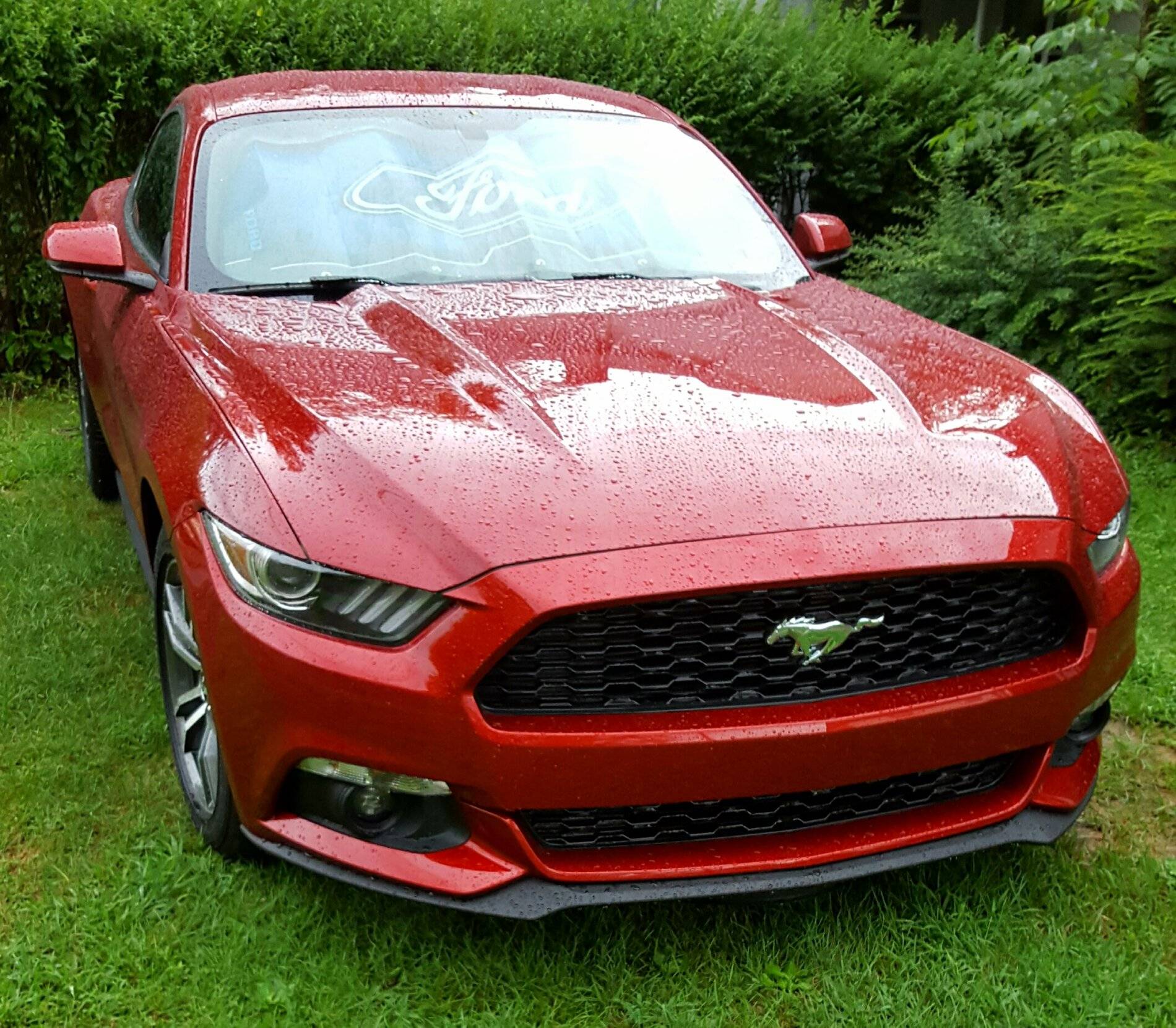 20161019_023641.jpg