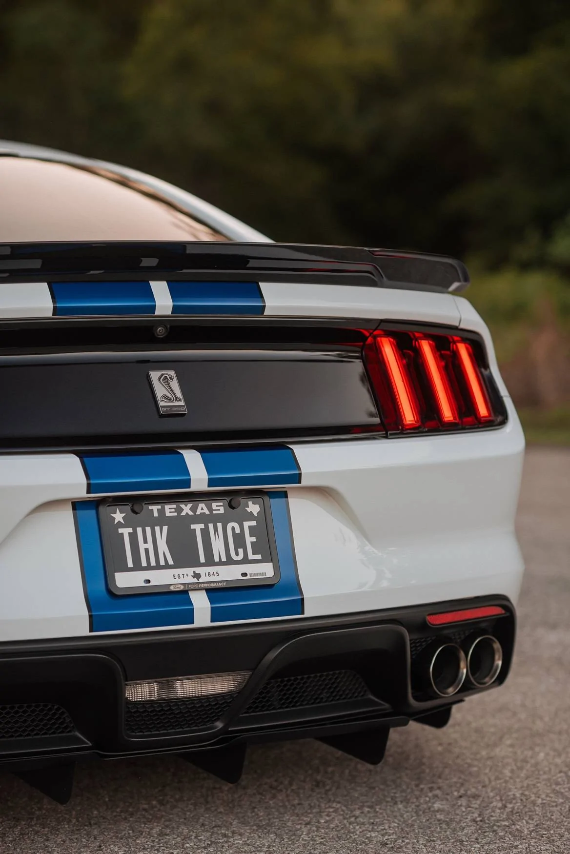 Theo-Graphics - Shelby GT350-12.JPG