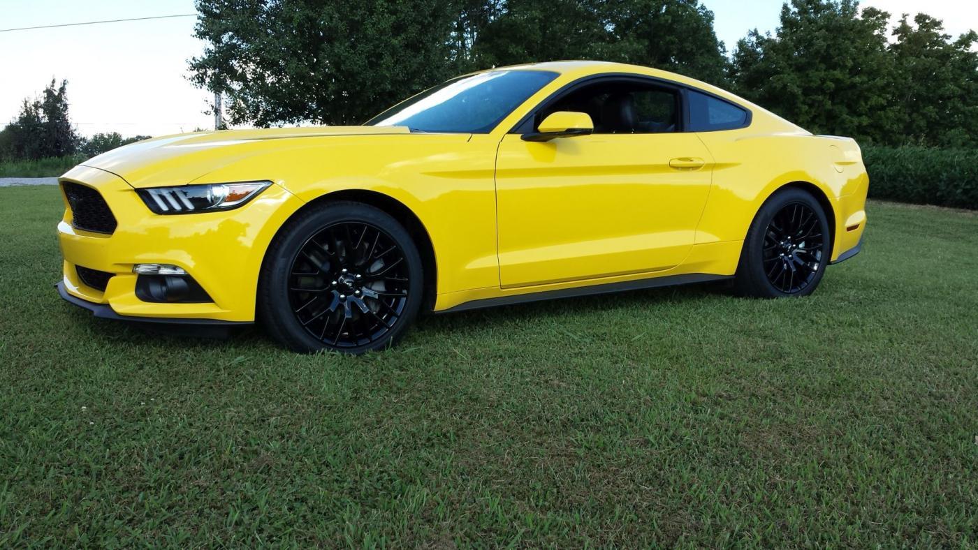 20150801_170232 small.jpg