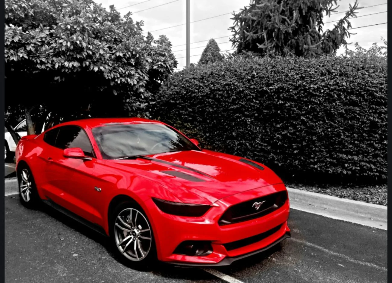 Screenshot_2016-01-31-08-42-56-1.webp