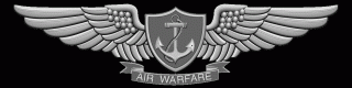 Aviation Warfare Enlisted.gif