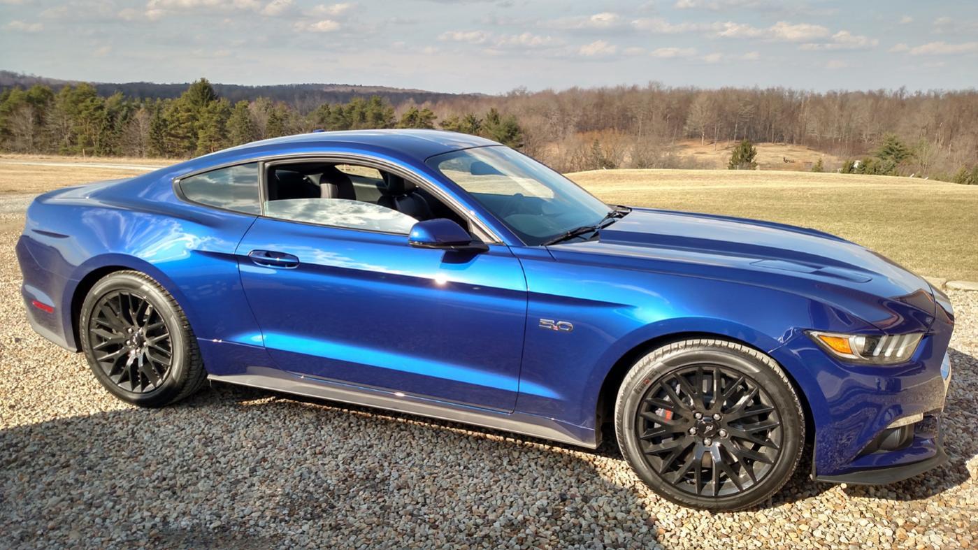 mustang1 copy.jpg
