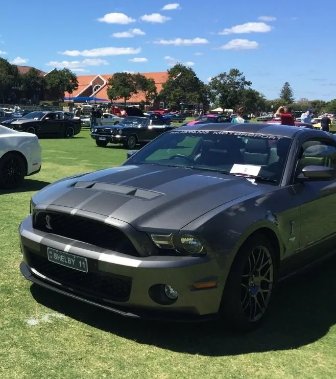 Stang.webp