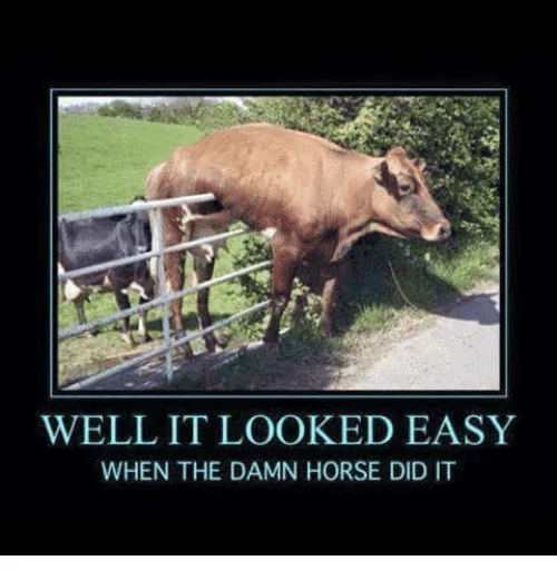 -it-looked-easy-when-the-damn-horse-did-it-3972081.webp
