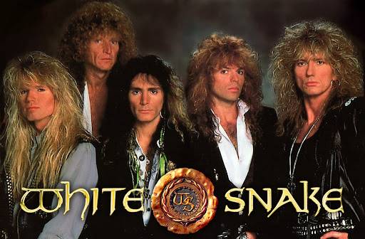 white snake.jpg