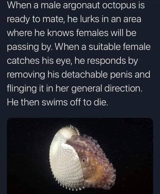 1886ce9571d91b640760cf68832728909e5489b5.jpg