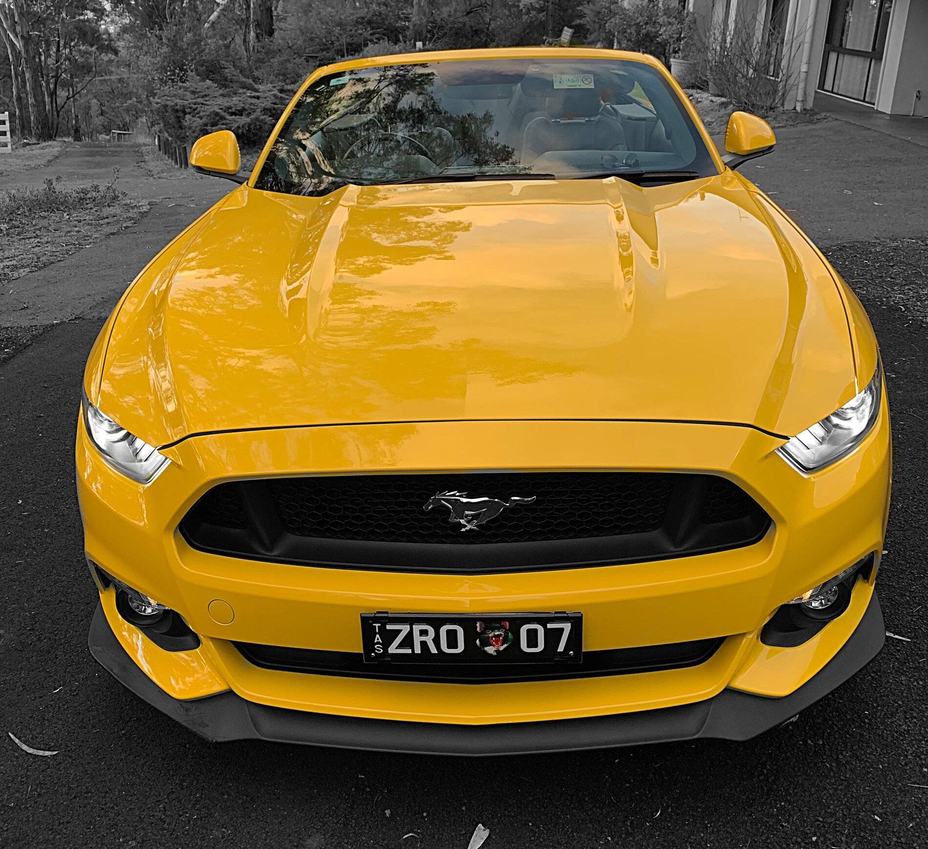 AF7D30C4-2B54-4E57-8706-32353D429DD3.jpeg
