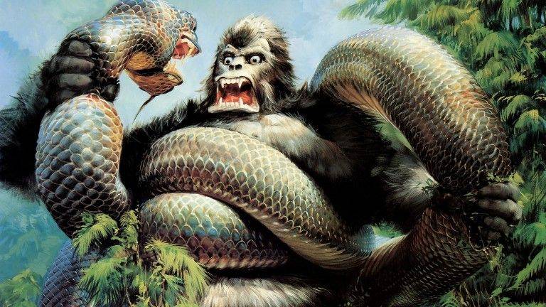 kong.jpg
