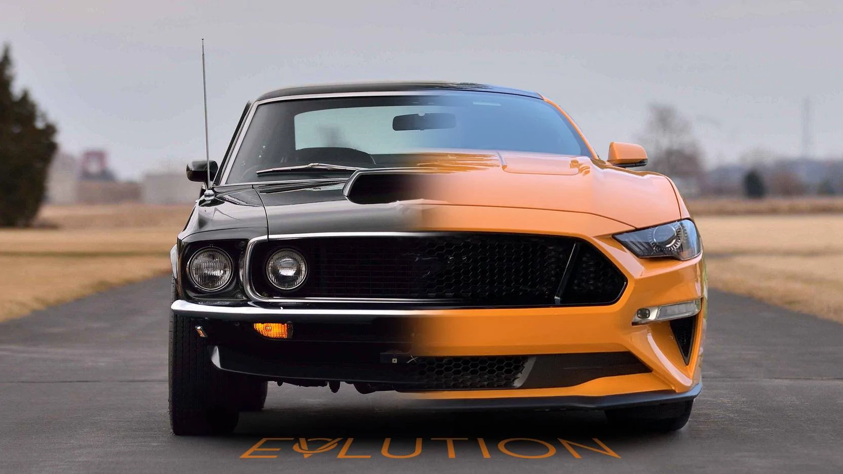 evolution.webp