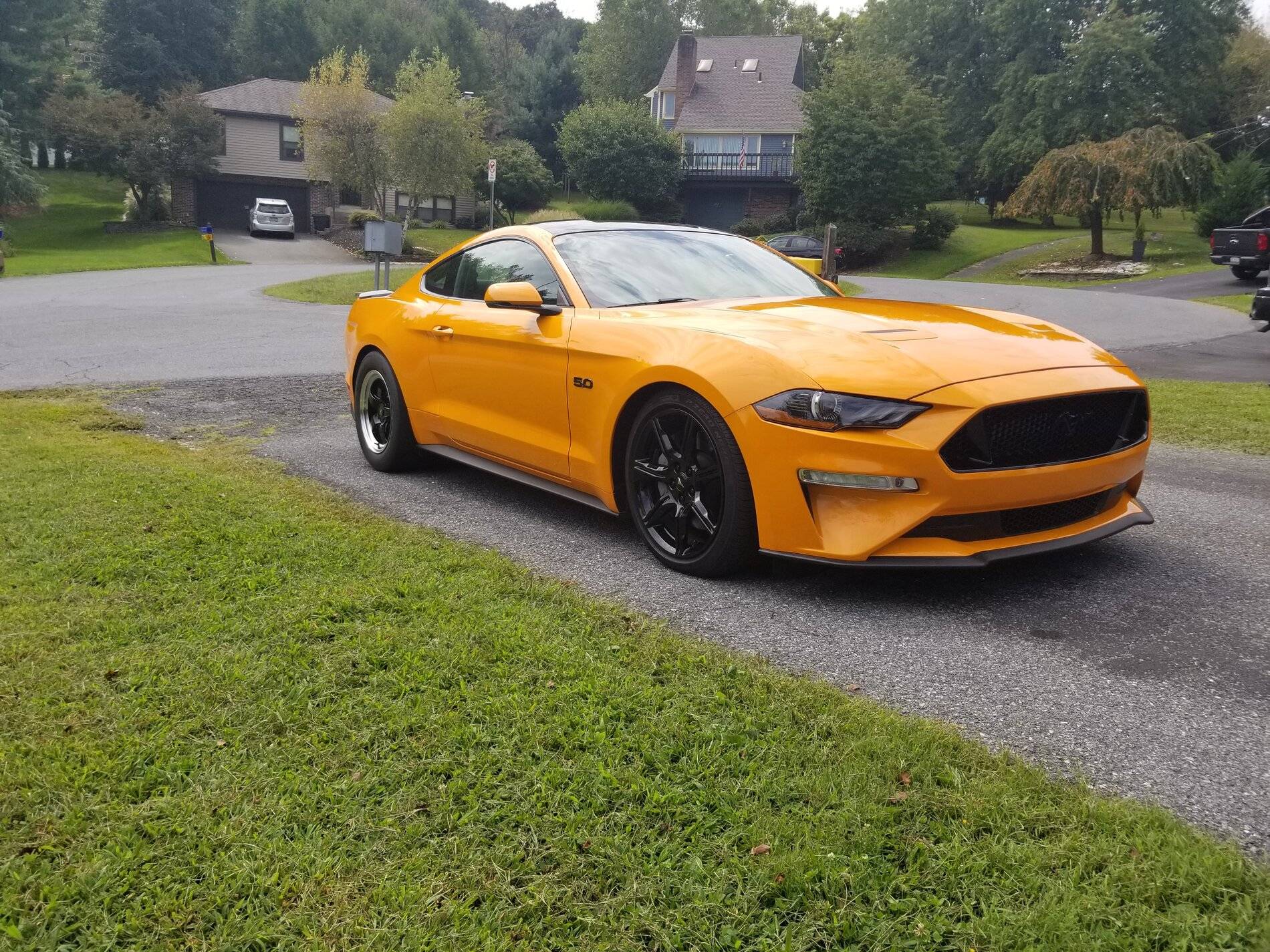 Mustang5.jpg