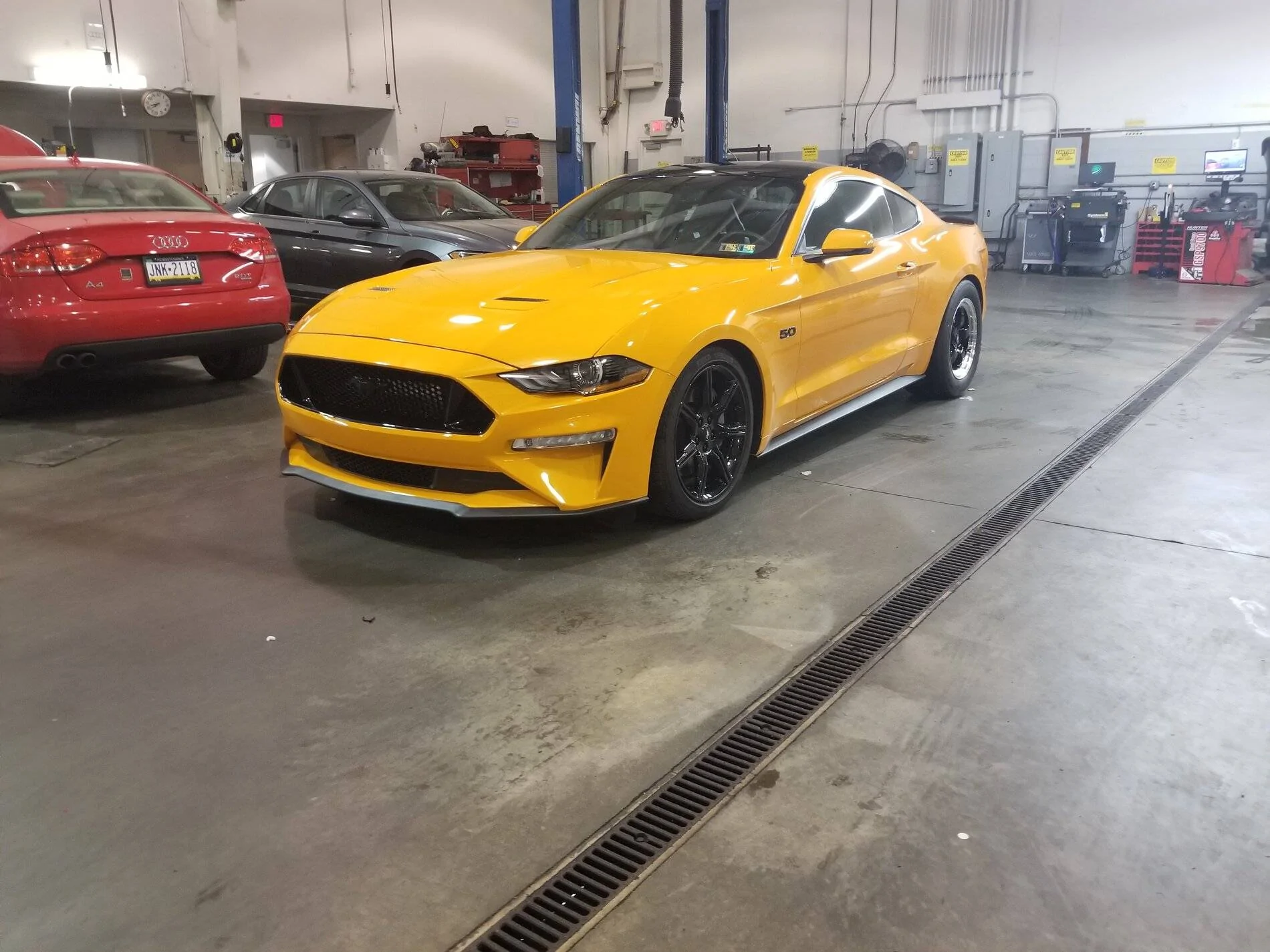 Mustang2.jpg