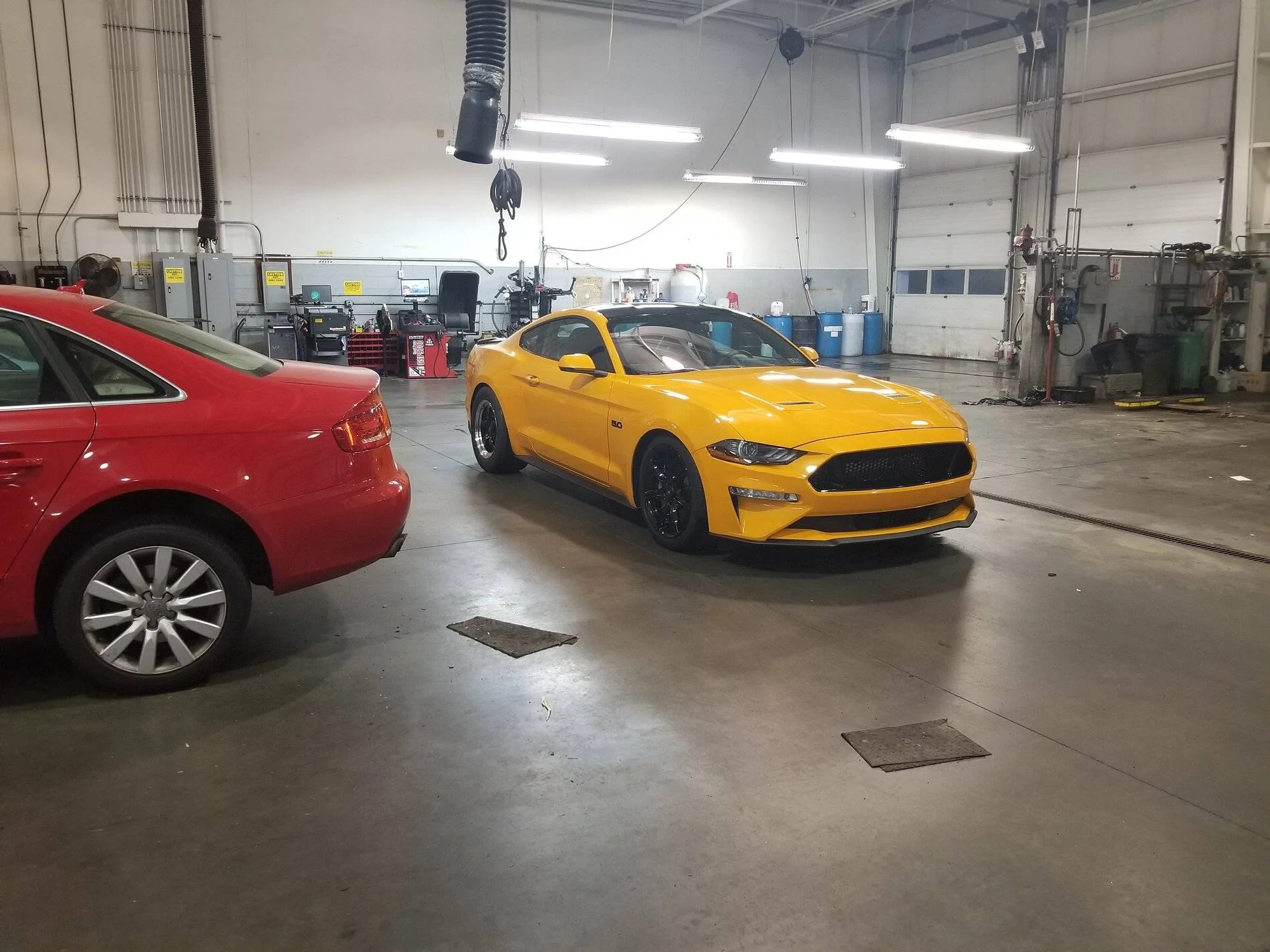 Mustang3.jpg