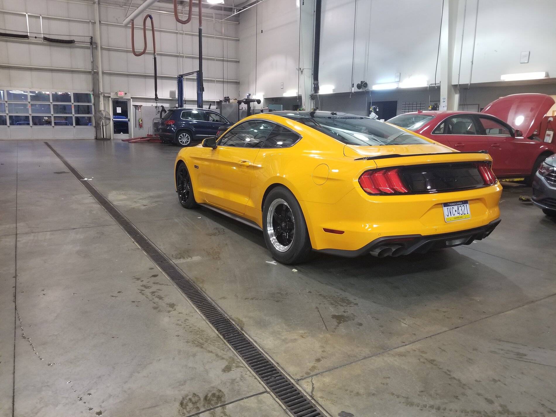 Mustang4.jpg