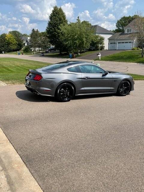 Mustang.jpg