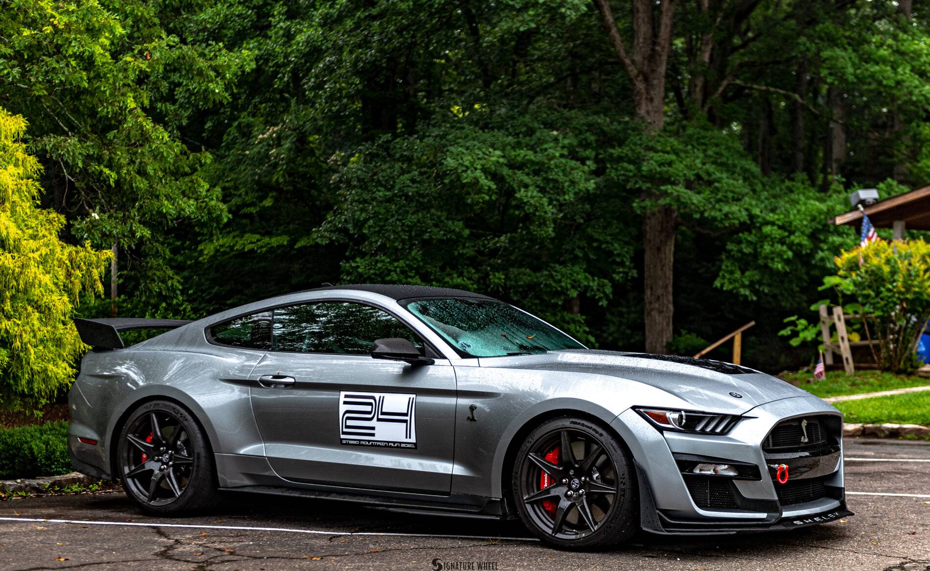 GT350 Mountain Run 2021-042.jpg