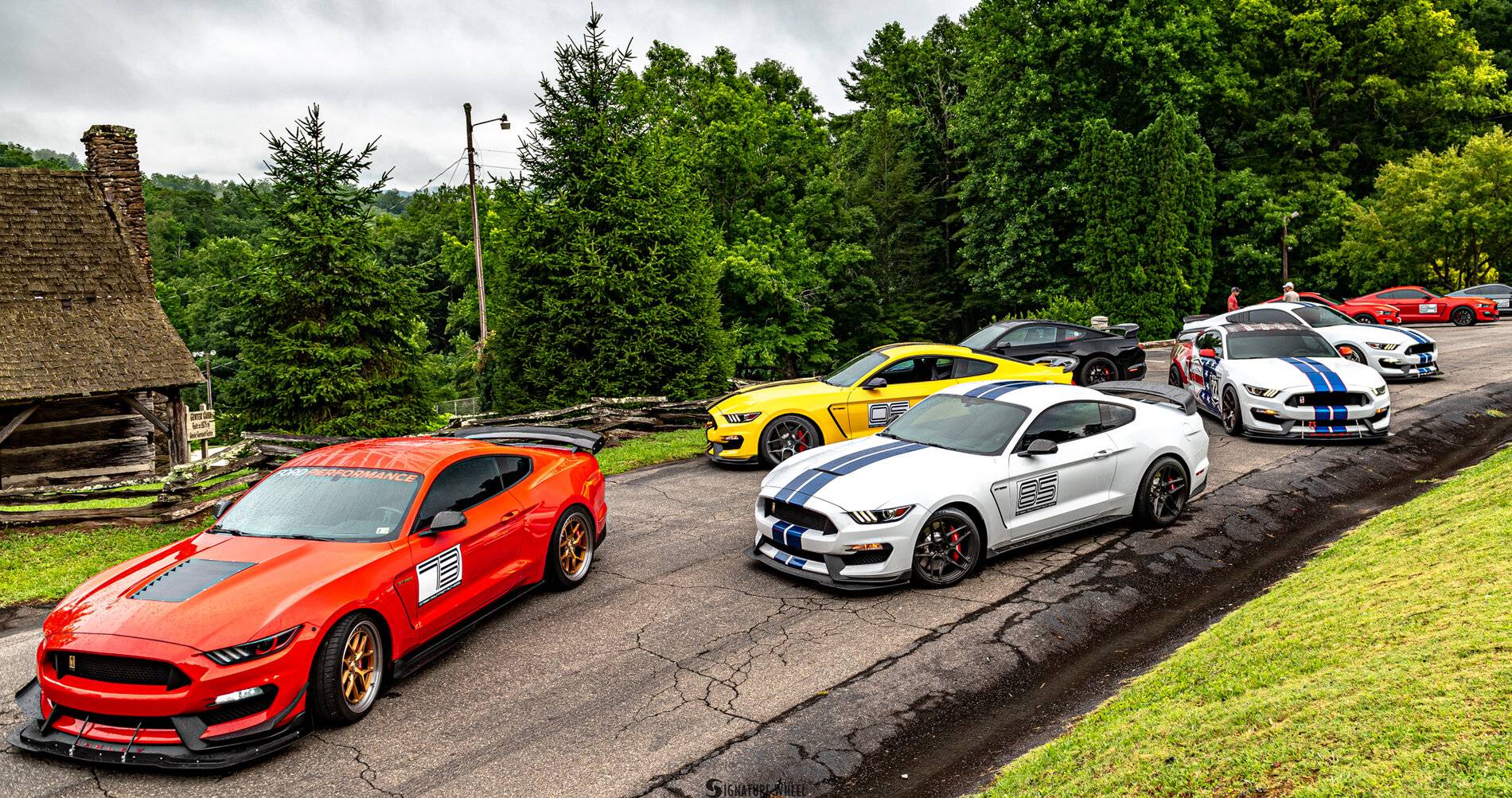 GT350 Mountain Run 2021-005.jpg