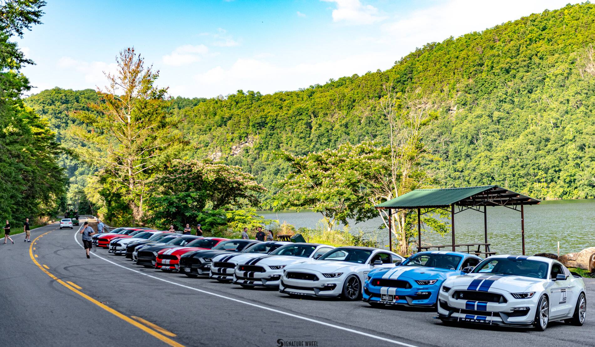 GT350 Mountain Run 2021-079.jpg