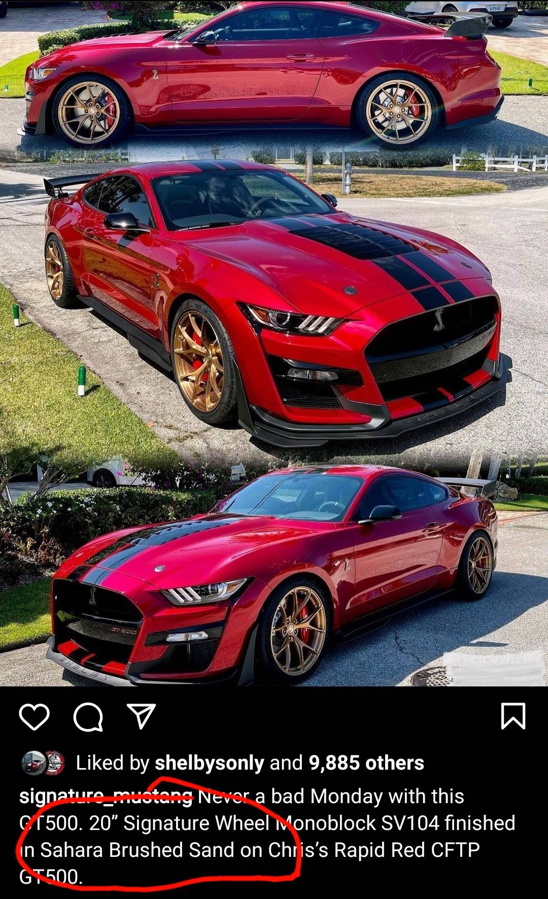 Screenshot_20210821-113112_Instagram.jpg