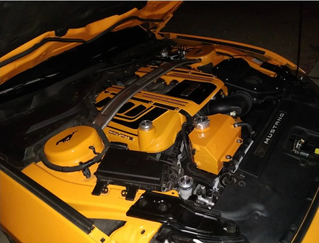 Screenshot_20210822-091056_Gallery.webp