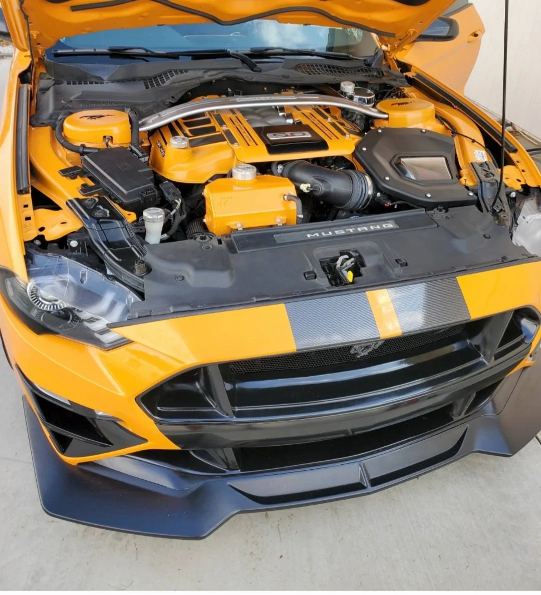 Screenshot_20210822-091630_Gallery.webp