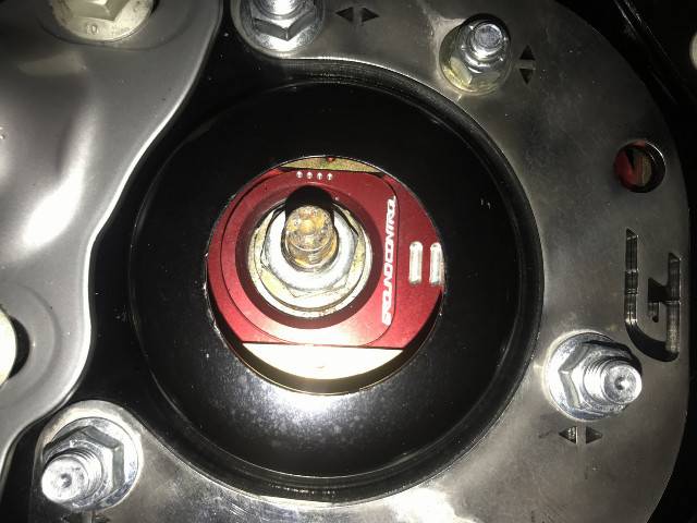 GC_Plate.jpg