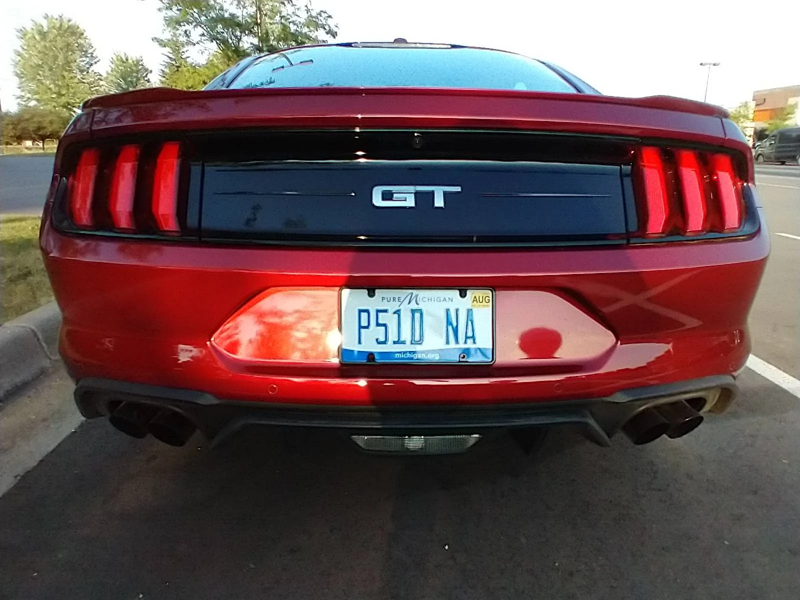 Mustang_P51.jpg