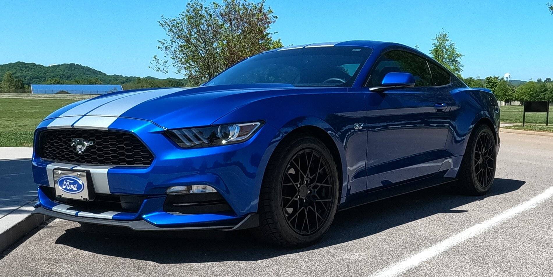 BlueMax2.JPG