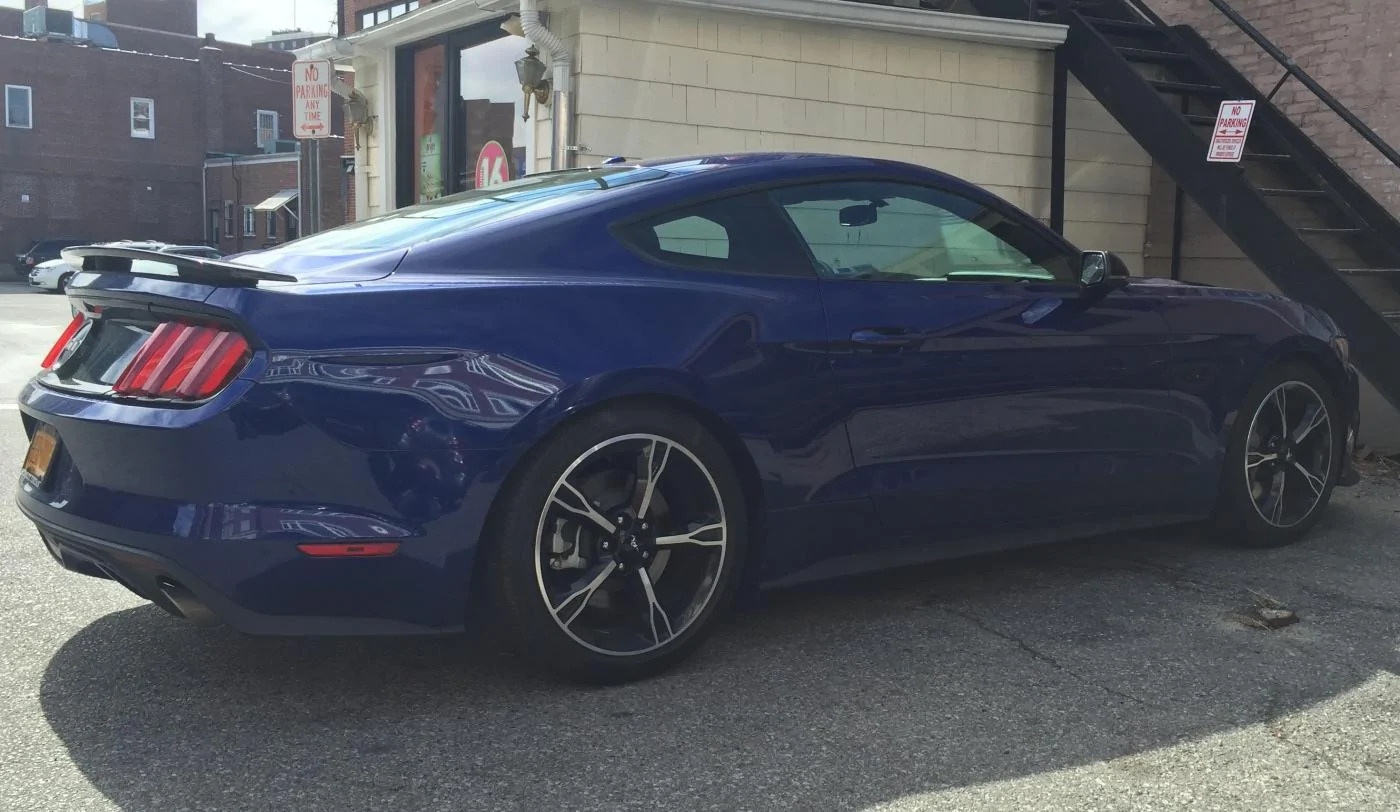 Stang (2).webp