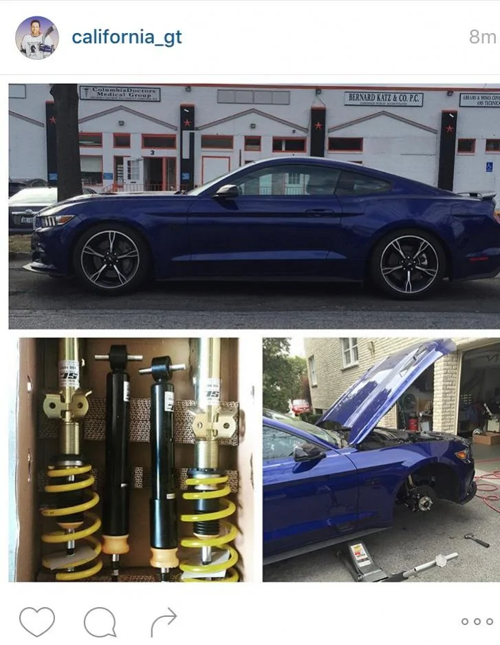 Stang2.webp