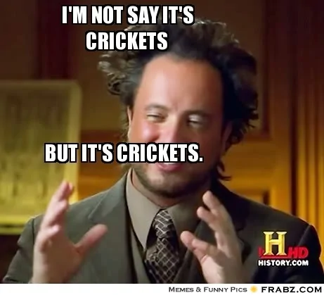 frabz-Im-not-say-its-crickets-but-its-crickets-d466b9.webp