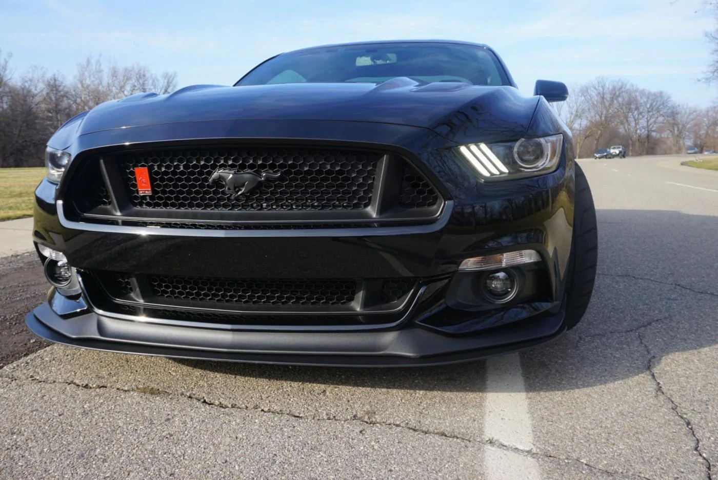 DSC00241_1 (3).webp