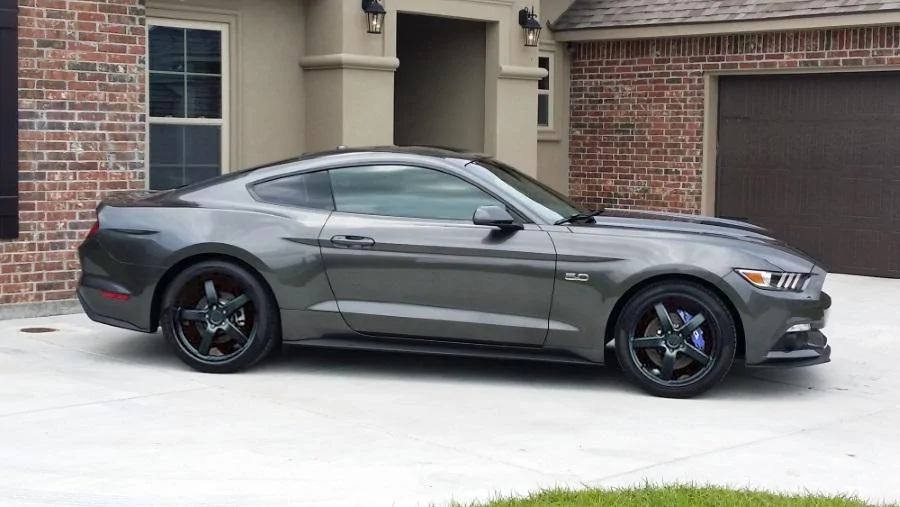 mustang1.webp