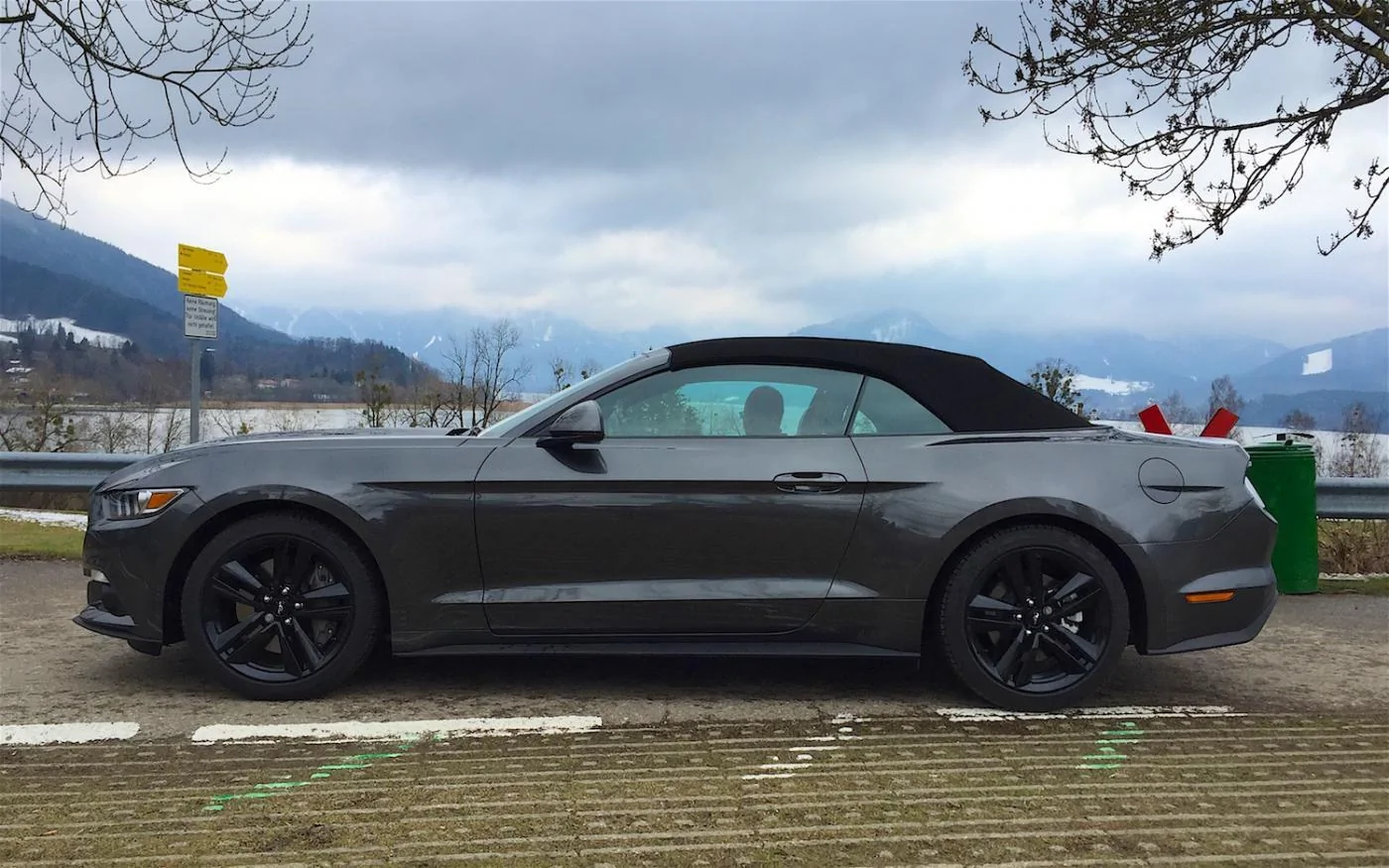 mustang06 027.webp