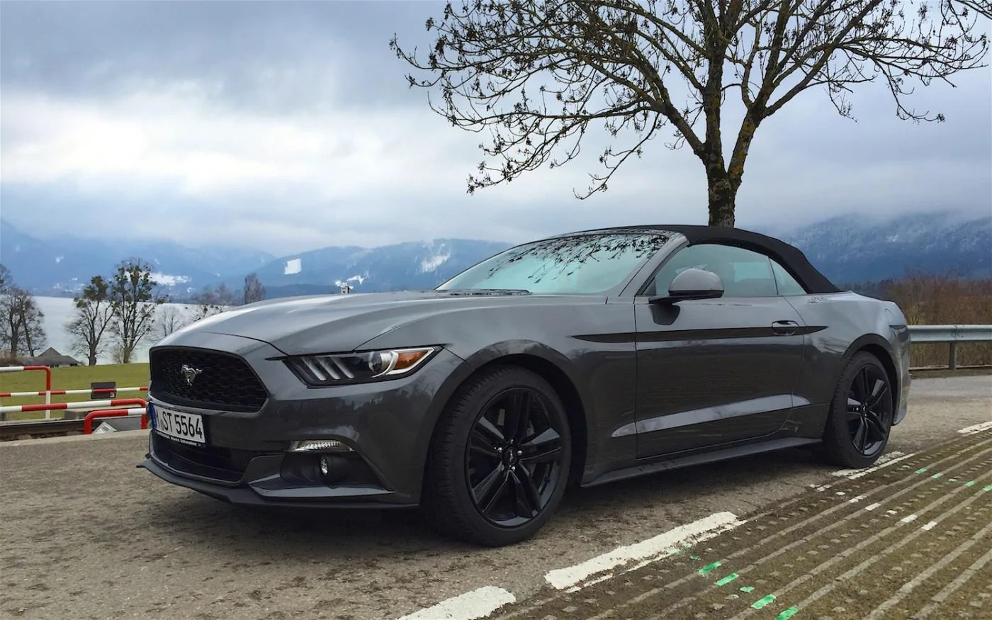 mustang05 026.webp