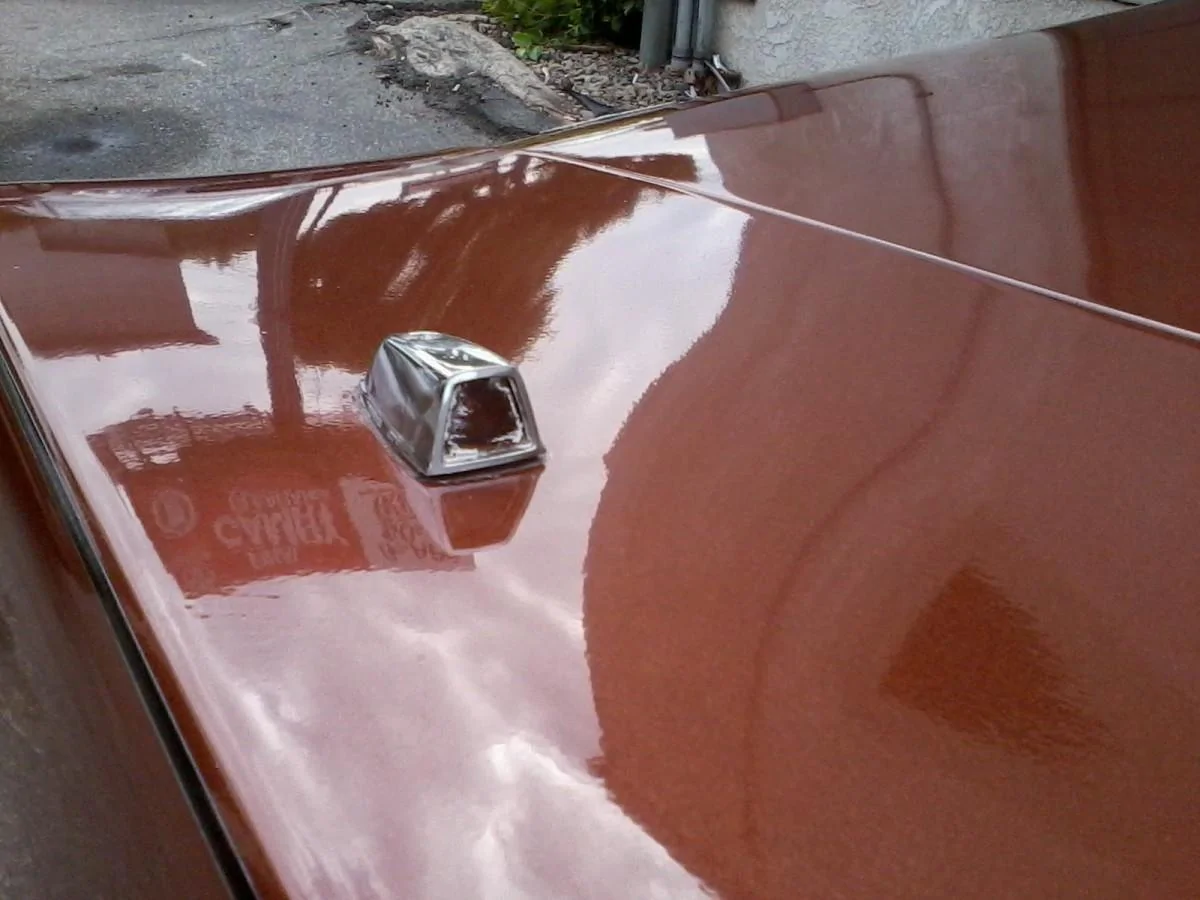 fender_top.webp