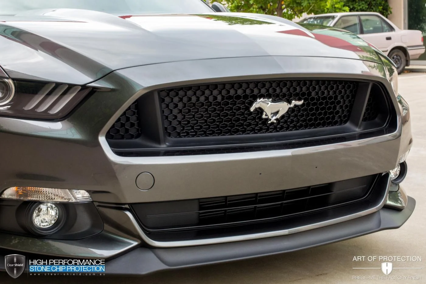 Clear Shield Mustang-17.webp