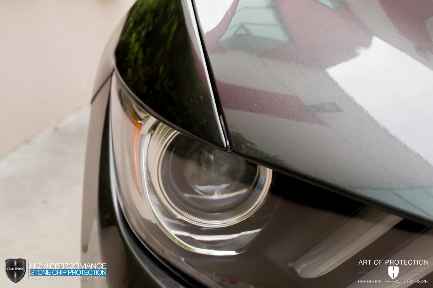 Clear Shield Mustang-13.webp