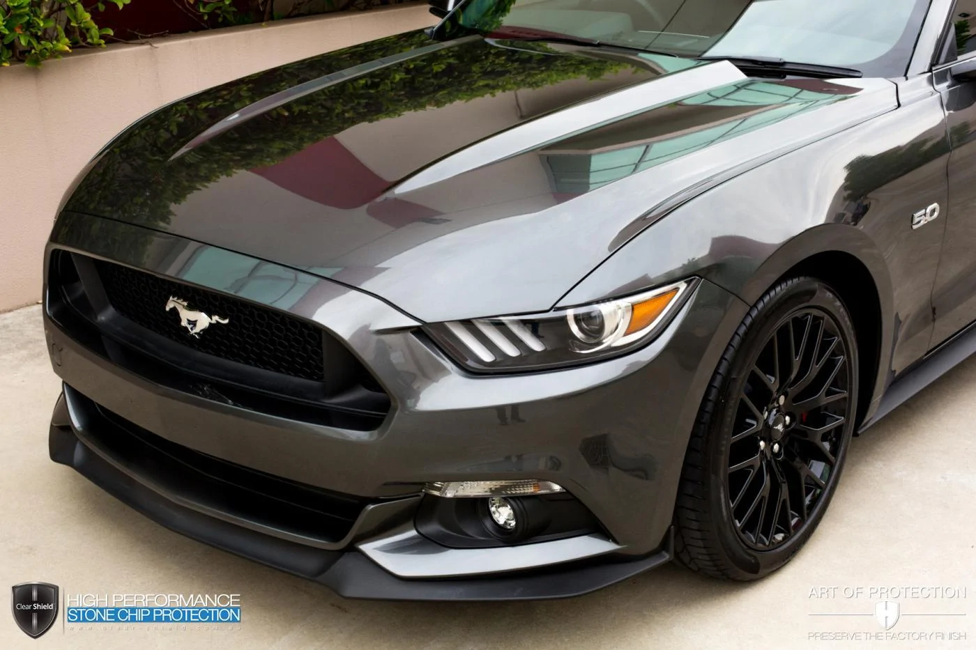 Clear Shield Mustang-7.webp