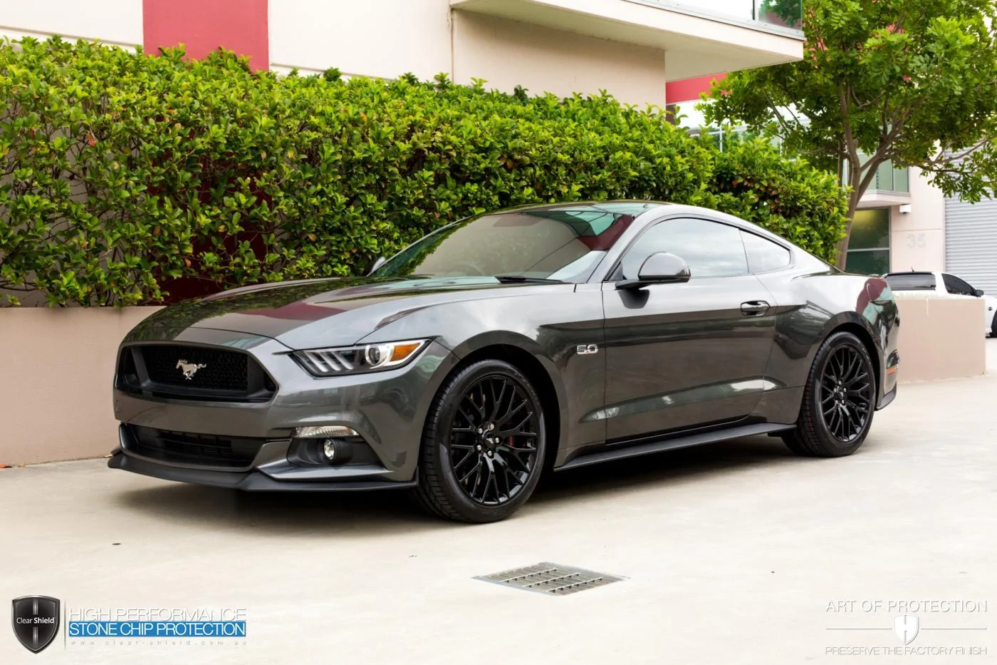 Clear Shield Mustang-6.webp